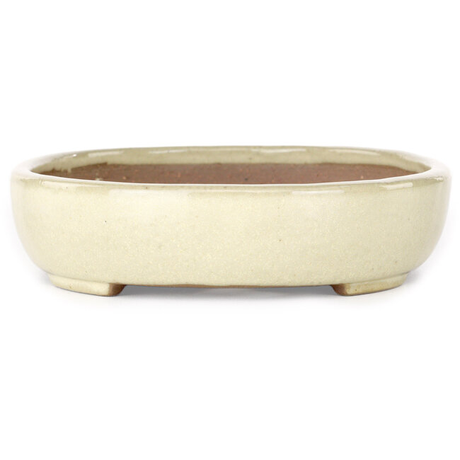 Oval beige bonsai pot by Yamafusa - 210 x 165 x 37 mm