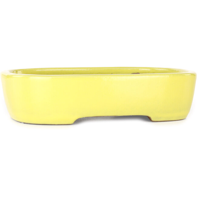 Ovale gele bonsaipot van Yamafusa - 210 x 163 x 52 mm