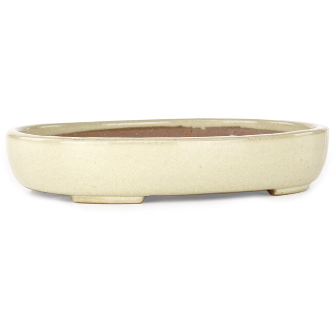 Ovale beige bonsaipot van Yamafusa - 210 x 165 x 37 mm