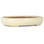 Oval beige bonsai pot by Yamafusa - 210 x 165 x 37 mm