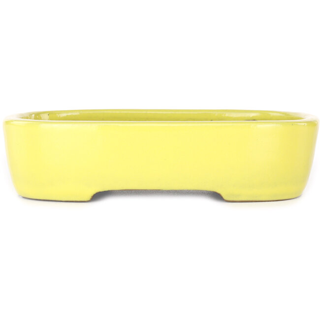Maceta ovalada amarilla para bonsái de Yamafusa - 210 x 163 x 52 mm