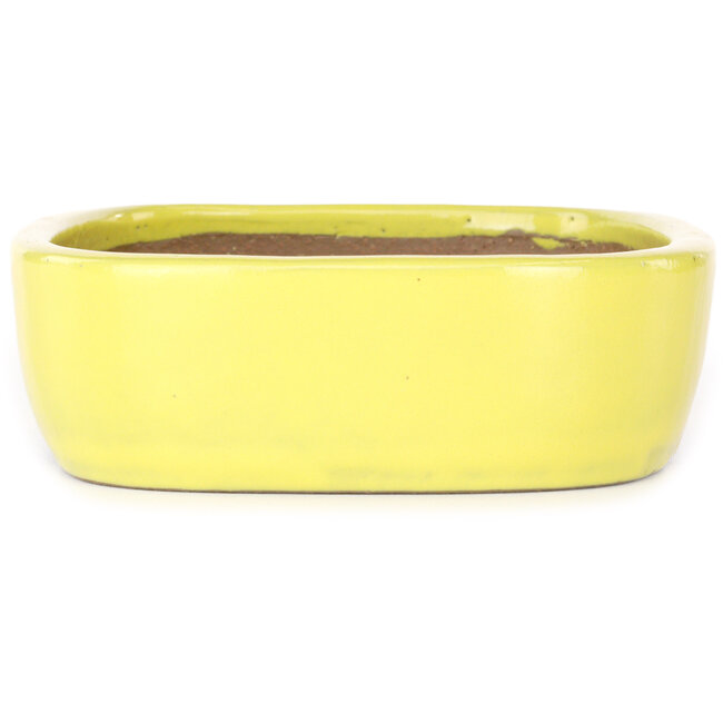 Pot à bonsaï ovale jaune de Yamafusa - 210 x 163 x 52 mm