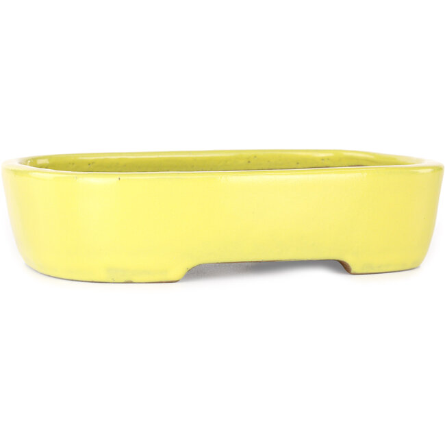Pot à bonsaï ovale jaune de Yamafusa - 210 x 163 x 52 mm