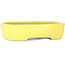 Vaso bonsai ovale giallo di Yamafusa - 210 x 163 x 52 mm