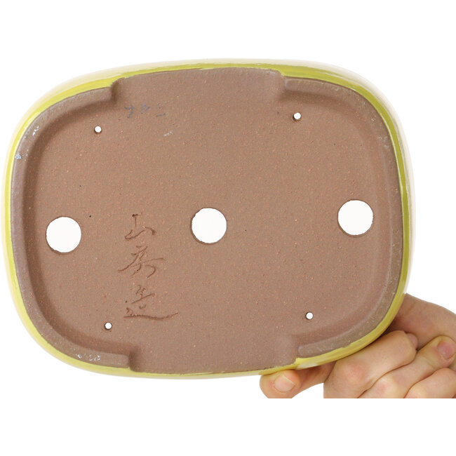 Oval yellow bonsai pot by Yamafusa - 210 x 163 x 52 mm