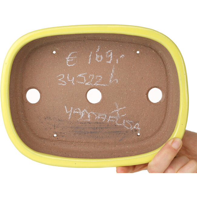 Oval yellow bonsai pot by Yamafusa - 210 x 163 x 52 mm
