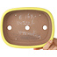 Pot à bonsaï ovale jaune de Yamafusa - 210 x 163 x 52 mm