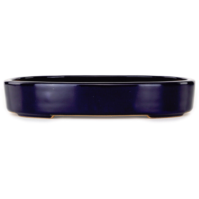 Maceta ovalada para bonsái azul oscuro de Reiho - 289 x 222 x 53 mm