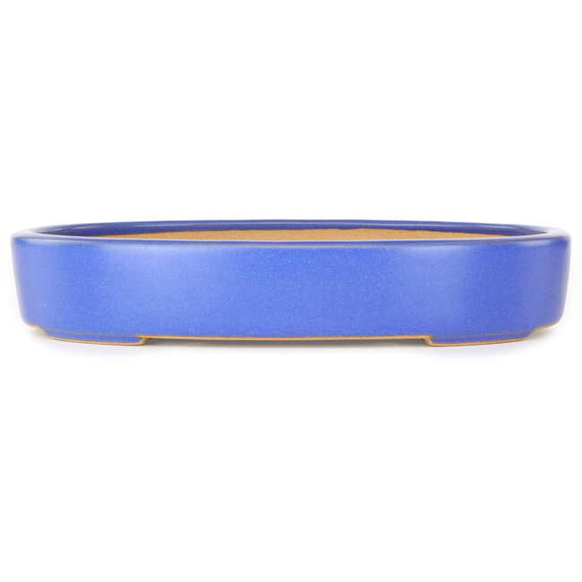 Maceta ovalada para bonsái azul claro de Reiho - 289 x 222 x 53 mm