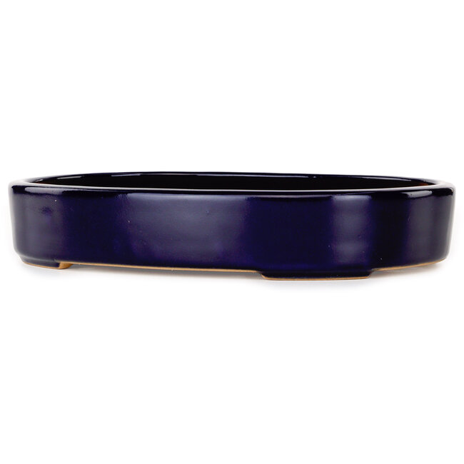 Maceta ovalada para bonsái azul oscuro de Reiho - 289 x 222 x 53 mm
