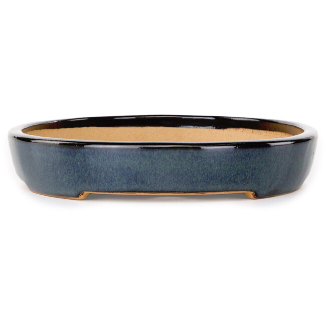 Vaso bonsai ovale blu scuro di Reiho - 283 x 205 x 35 mm