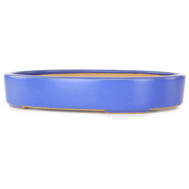Maceta ovalada para bonsái azul claro de Reiho - 289 x 222 x 53 mm