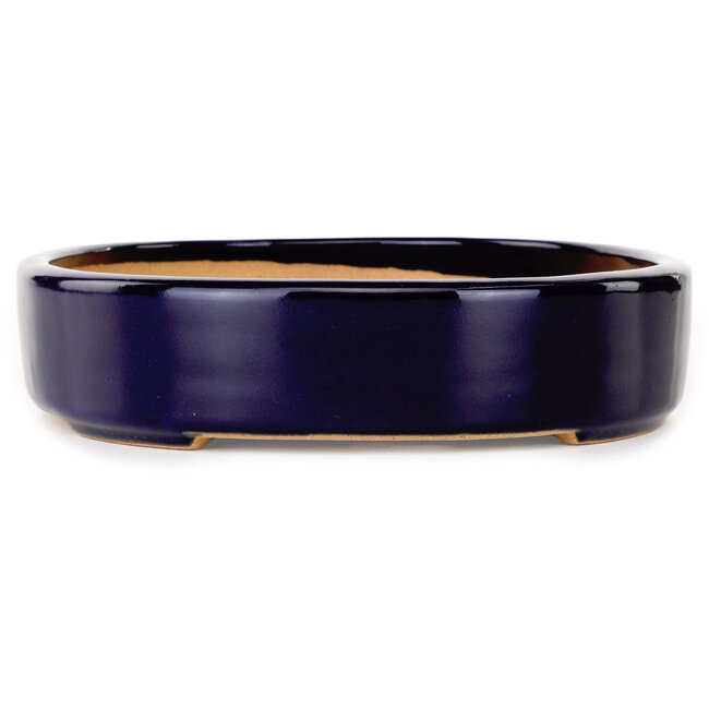 Oval dark blue bonsai pot by Reiho - 289 x 222 x 53 mm