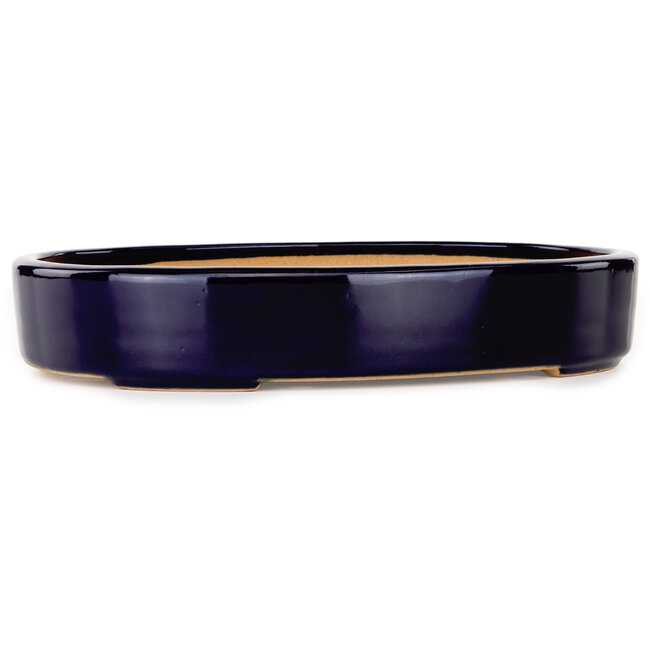 Oval dark blue bonsai pot by Reiho - 289 x 222 x 53 mm