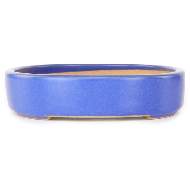 Vaso bonsai ovale azzurro chiaro di Reiho - 289 x 222 x 53 mm
