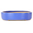 Maceta ovalada para bonsái azul claro de Reiho - 289 x 222 x 53 mm