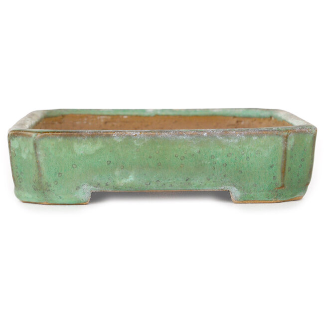 Vaso bonsai rettangolare verde di Hosui, moglie di Yamafusa - 157 x 127 x 28 mm