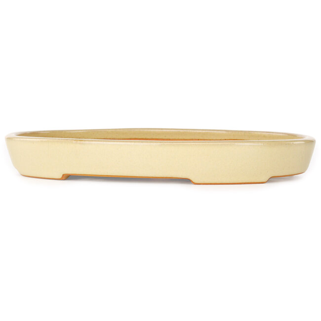 Oval beige bonsai pot by Reiho - 283 x 205 x 35 mm