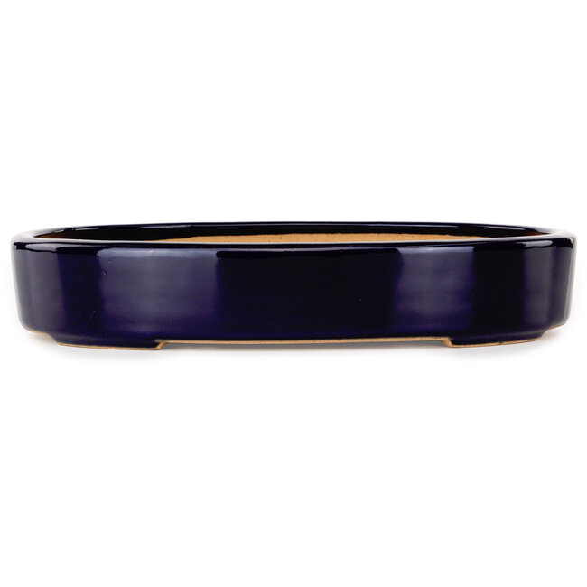 Oval dark blue bonsai pot by Reiho - 289 x 222 x 53 mm