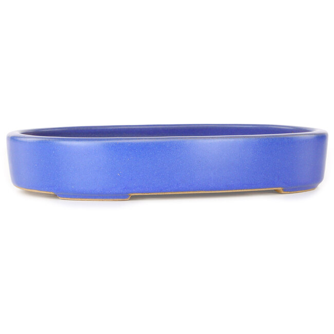 Pot à bonsaï ovale bleu clair de Reiho - 289 x 222 x 53 mm