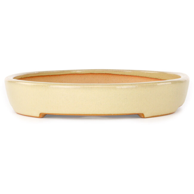 Oval beige bonsai pot by Reiho - 283 x 205 x 35 mm