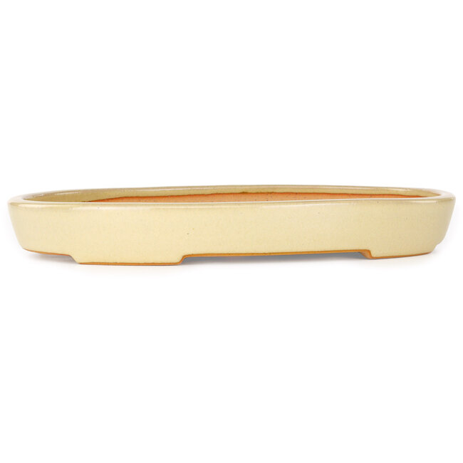 Oval beige bonsai pot by Reiho - 283 x 205 x 35 mm