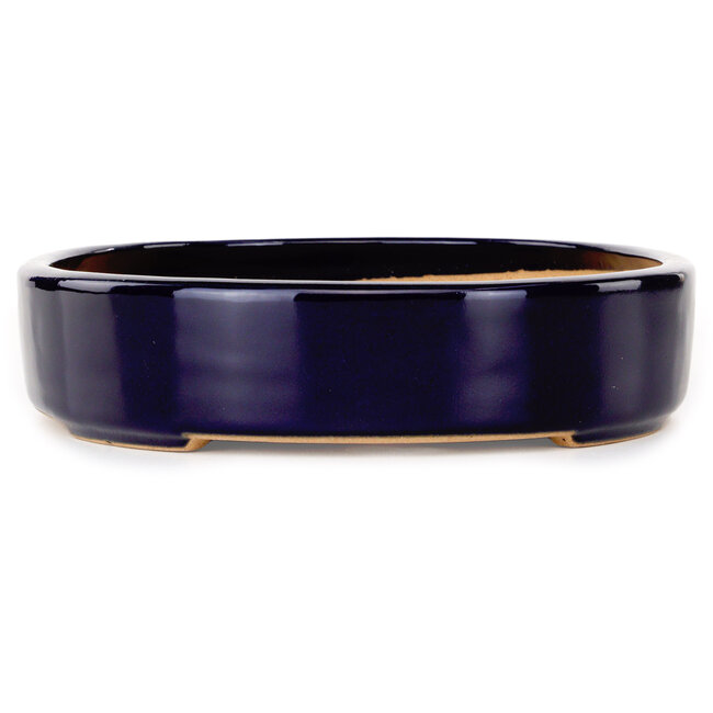 Pot à bonsaï ovale bleu foncé de Reiho - 289 x 222 x 53 mm