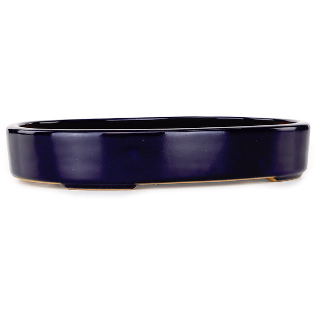 Oval dark blue bonsai pot by Reiho - 289 x 222 x 53 mm