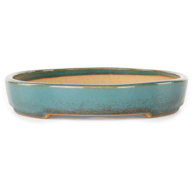 Ovale blauwgroene bonsaipot van Reiho - 283 x 205 x 35 mm