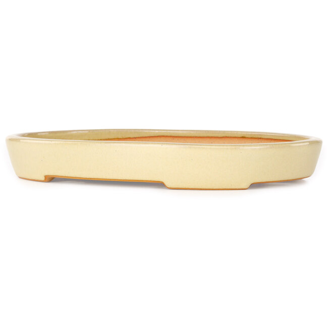 Pot à bonsaï ovale beige de Reiho - 283 x 205 x 35 mm