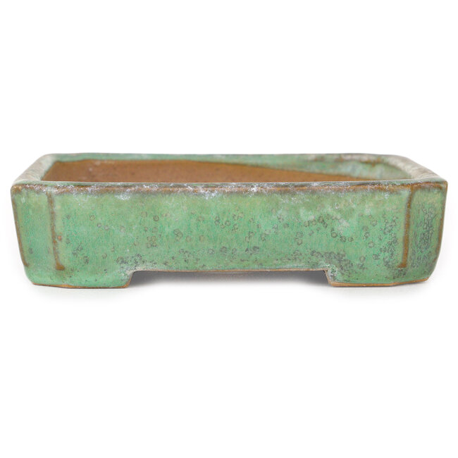 Vaso bonsai rettangolare verde di Hosui, moglie di Yamafusa - 157 x 127 x 28 mm