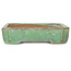 Maceta rectangular verde para bonsái de Hosui, esposa de Yamafusa - 157 x 127 x 28 mm