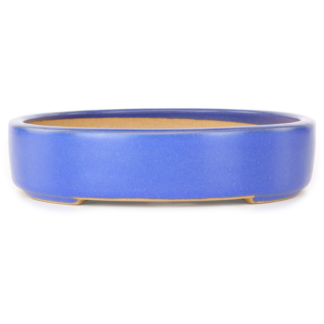 Vaso bonsai ovale azzurro chiaro di Reiho - 289 x 222 x 53 mm