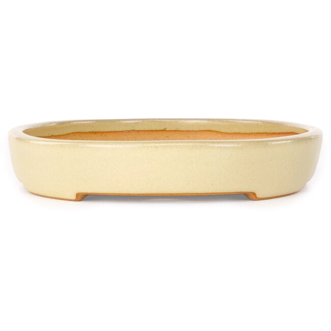 Oval beige bonsai pot by Reiho - 283 x 205 x 35 mm