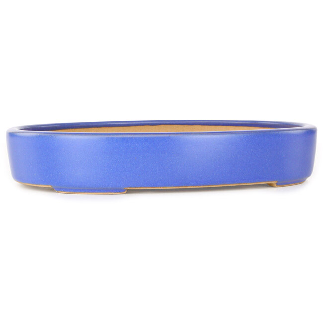 Maceta ovalada para bonsái azul claro de Reiho - 289 x 222 x 53 mm