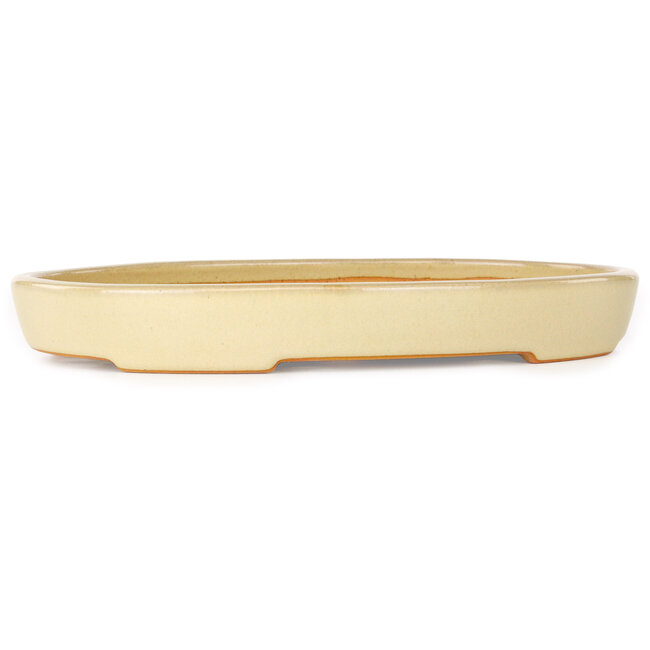 Oval beige bonsai pot by Reiho - 283 x 205 x 35 mm