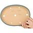 Maceta ovalada para bonsái de color verde azulado de Reiho - 283 x 205 x 35 mm