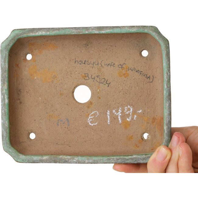 Vaso bonsai rettangolare verde di Hosui, moglie di Yamafusa - 157 x 127 x 28 mm