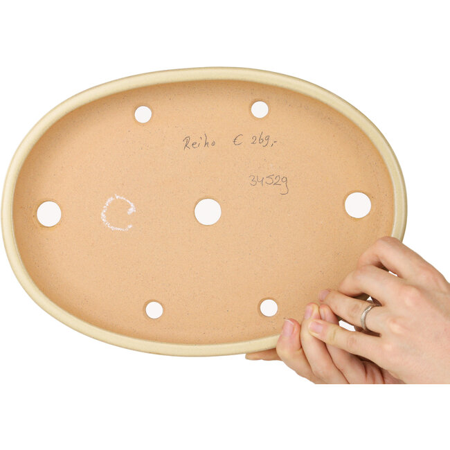 Pot à bonsaï ovale beige de Reiho - 283 x 205 x 35 mm