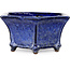 Vaso bonsai esagonale blu scuro di Shuhou - 240 x 240 x 115 mm