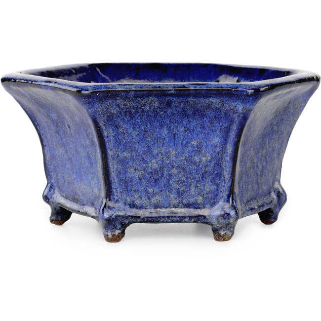 Maceta hexagonal para bonsái azul oscuro de Shuhou - 240 x 240 x 115 mm