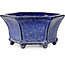 Vaso bonsai esagonale blu scuro di Shuhou - 240 x 240 x 115 mm