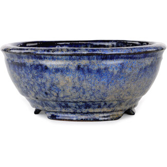  Shuuhou (Hidemi Kataoka) 183 mm  dark blue bonsai pot by Shuhou, Tokoname, Japan