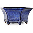 Vaso bonsai esagonale blu scuro di Shuhou - 240 x 240 x 115 mm