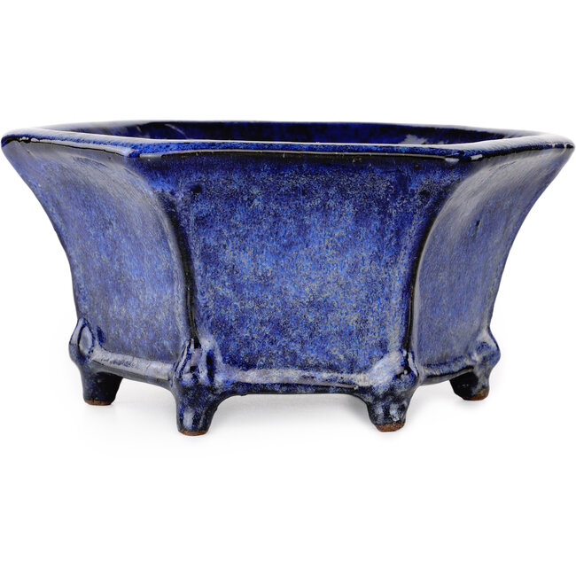 Maceta hexagonal para bonsái azul oscuro de Shuhou - 240 x 240 x 115 mm