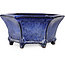 Maceta hexagonal para bonsái azul oscuro de Shuhou - 240 x 240 x 115 mm