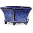 Hexagonal dark blue bonsai pot by Shuhou - 240 x 240 x 115 mm