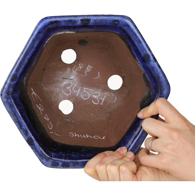 Hexagonal dark blue bonsai pot by Shuhou - 240 x 240 x 115 mm