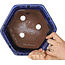 Maceta hexagonal para bonsái azul oscuro de Shuhou - 240 x 240 x 115 mm