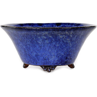 Shuuhou (Hidemi Kataoka) 190 mm  dark blue bonsai pot by Shuhou, Tokoname, Japan